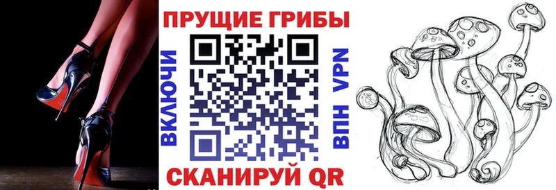 закладка  Светлогорск  Галлюциногенные грибы прущие грибы 